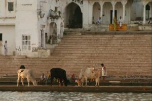 01 Pushkar Lake