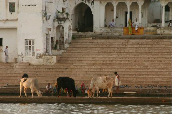 01 Pushkar Lake