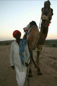02 Camel Yawn