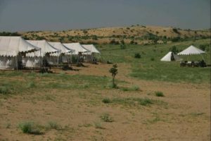 04 Green Desert