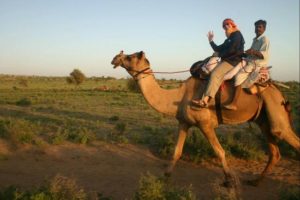 01 Camel Safari