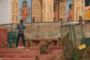01 Monkey temple