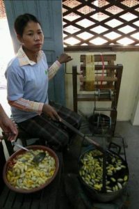 17 Extracting Silk